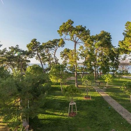 Apartment Hannah Novigrad Istria 外观 照片