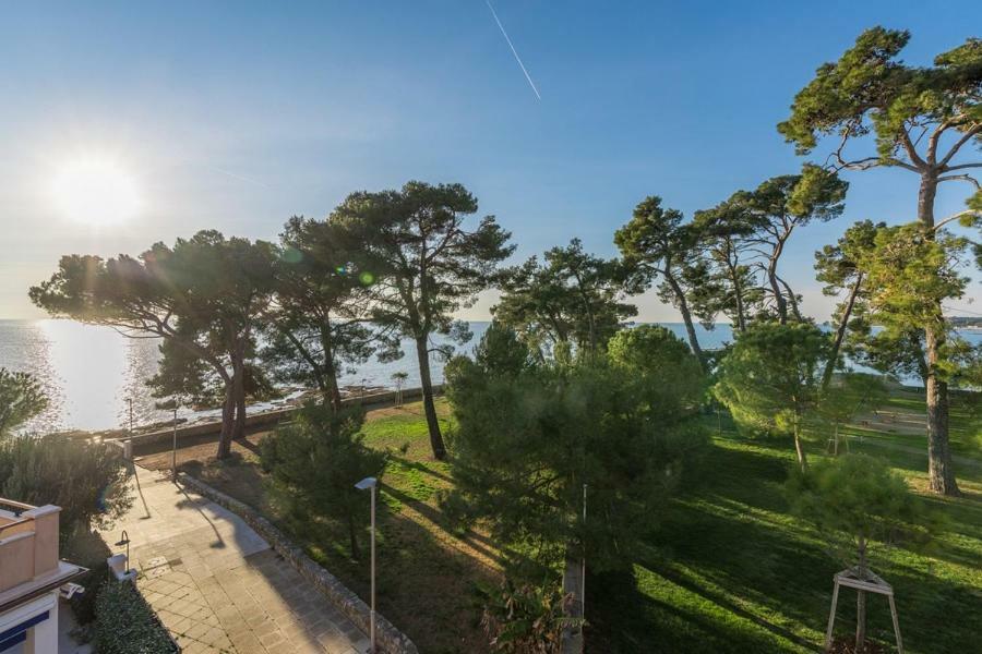 Apartment Hannah Novigrad Istria 外观 照片