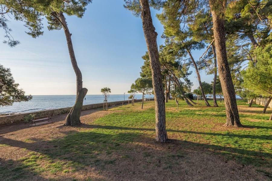 Apartment Hannah Novigrad Istria 外观 照片